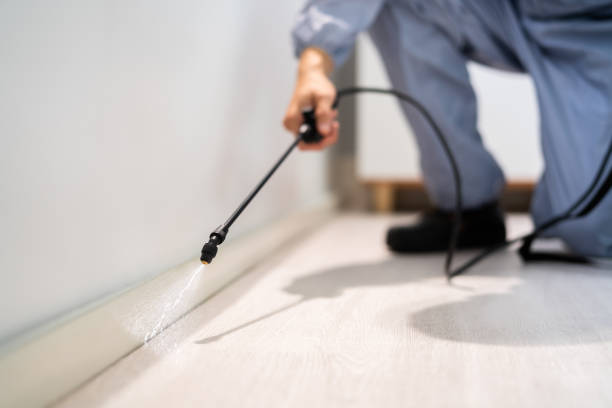 Licensed Mosquito Control service in Evansville, IN - Show Me Pest Control