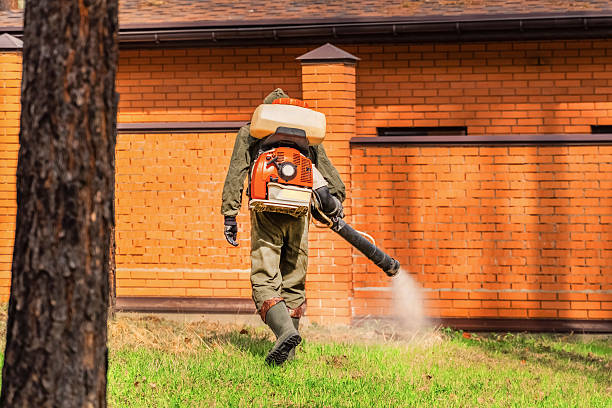 Top rated local Mosquito Control specialists in Evansville, IN